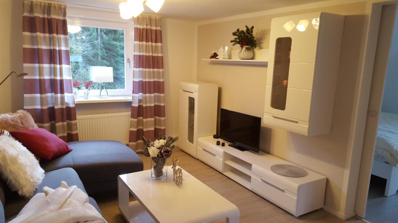 Ferienwohnung Haus Zeier Goslar Ngoại thất bức ảnh